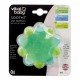 Vital Baby Soothe Star Teethers  teething relief infant dental care