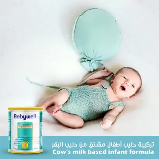 Babywell Baby Milk Stage (1) 900 Gm	