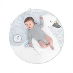 Skip Hop Little Swan Playmat